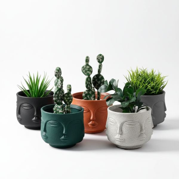 succulent face planter Buddha Face Planter – Original Source