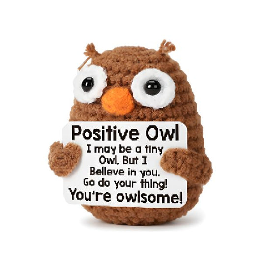 Crochet Positive Pal - Owl