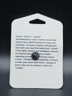 Zodiac Enamel Pin - Cancer